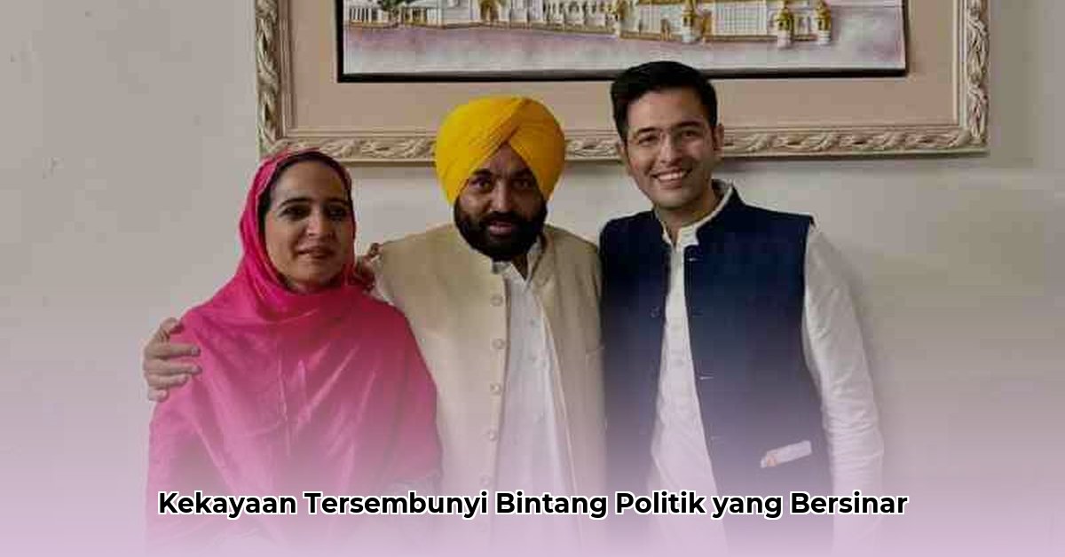 raghav chadha net worth